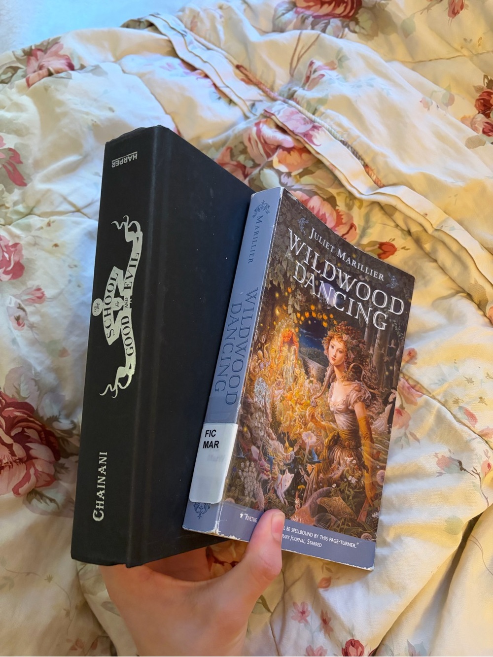 The School for Good and Evil, by Soman Chainani and Wildwood Dancing,by J.M